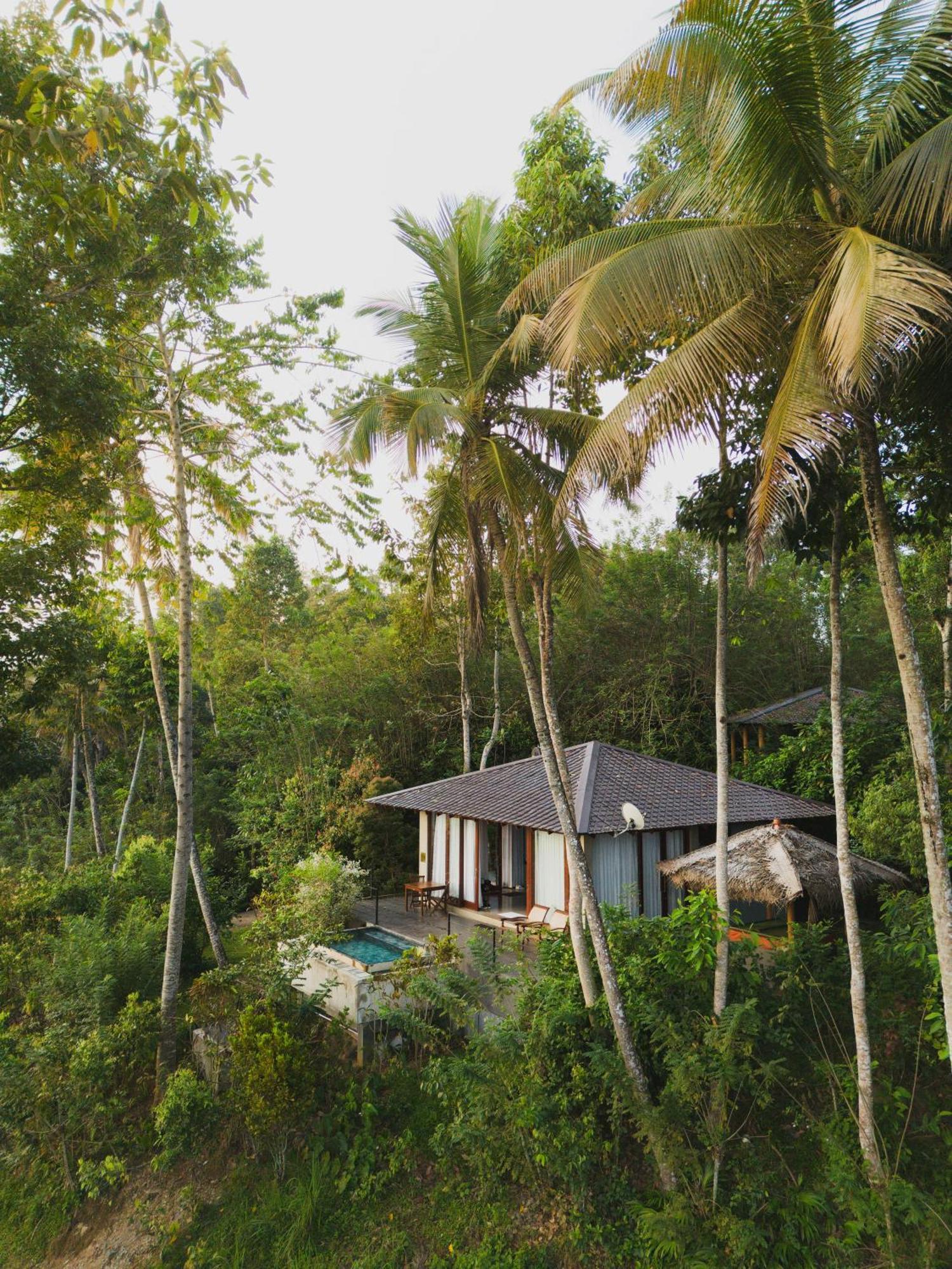 Aarunya Nature Resort - Kandy Esterno foto